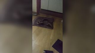 清纯F奶大学生美女与粗屌男友啪啪啪 自拍流出水蜜桃大胸黑丝肉丝制服装