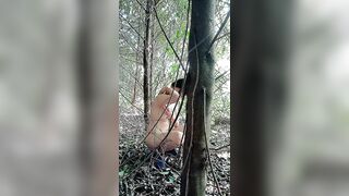 开档黑丝少妇露脸跟小哥激情户外【上篇】小树林里偷情啪啪，奶罩挂在树上口交大鸡巴， 多体位爆草抽插无套好刺激