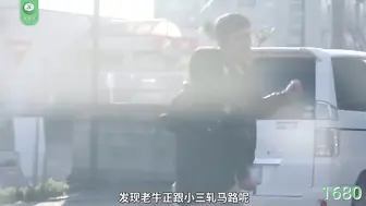 π1680 相逢何必曾相识，穿墙打洞不能辞 本庄玲