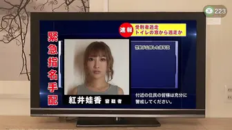 π223 恋上美逃犯II