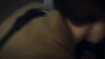 两面神：欲望的两张脸 야누스： 욕망의 두 얼굴 韩国三级
